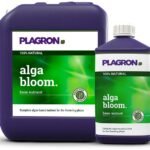 Plagron Alga Bloom