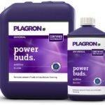 Plagron Power Buds