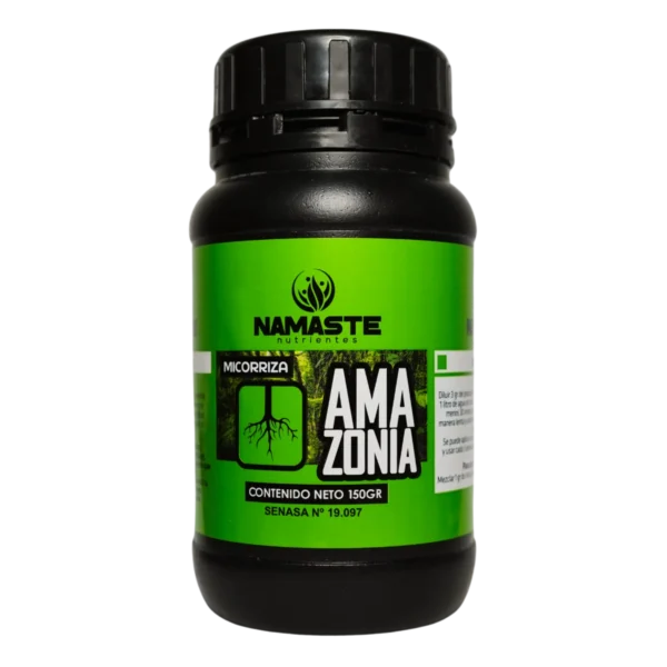 NAMASTÉ AMAZONIA